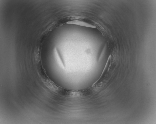 X0000073530376200608141032