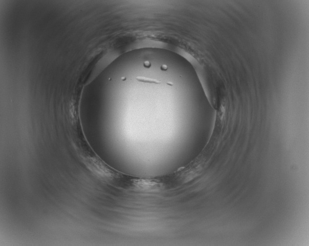 X0000073530380200608141032