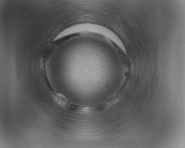 X0000073530382200608141033