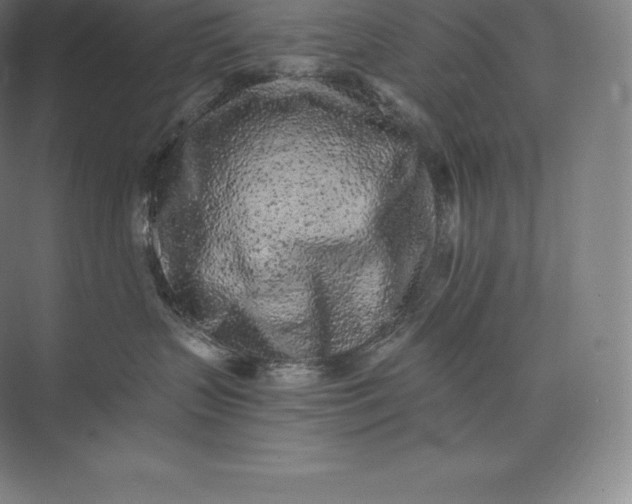X0000073530383200608141033