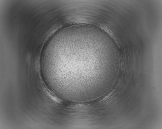 X0000073530390200608141032