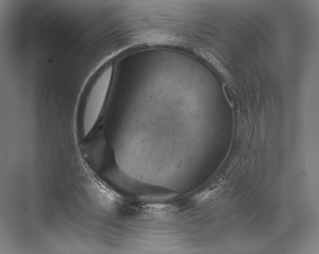 X0000073530391200608141032