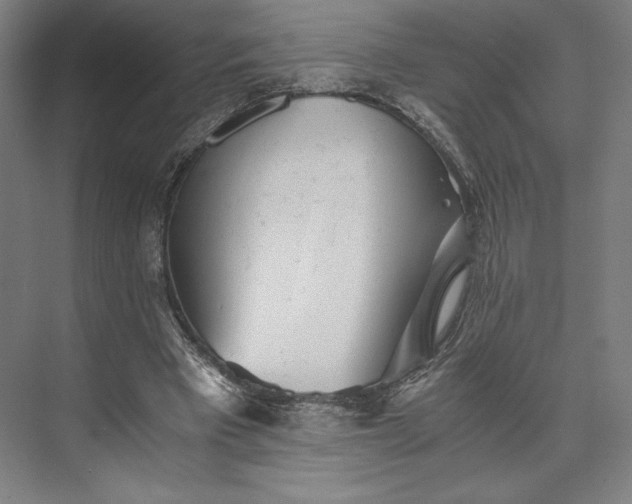 X0000073530393200608141032