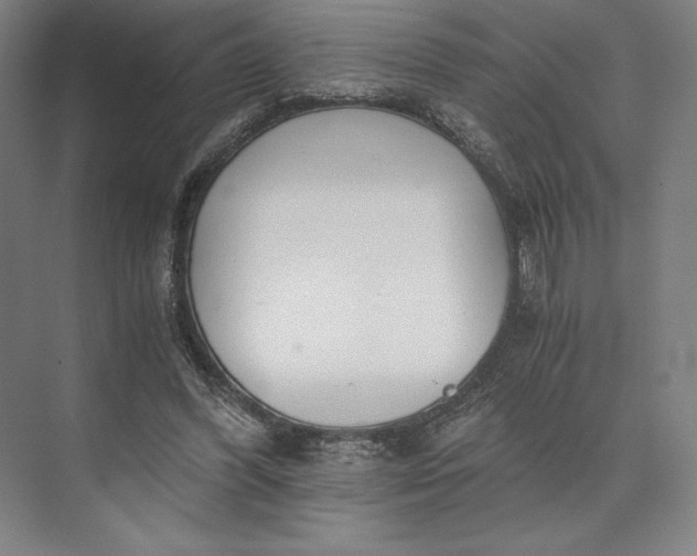 X0000073530396200608141032