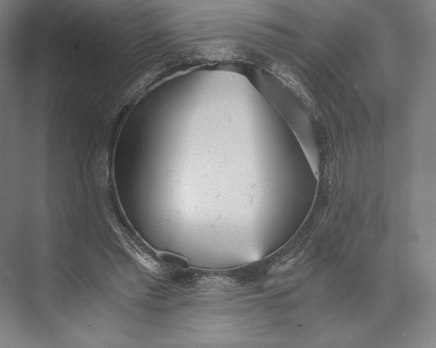 X0000073530397200608141032