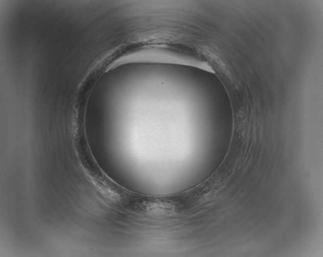 X0000073530400200608141031