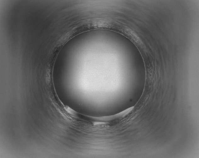 X0000073530401200608141031