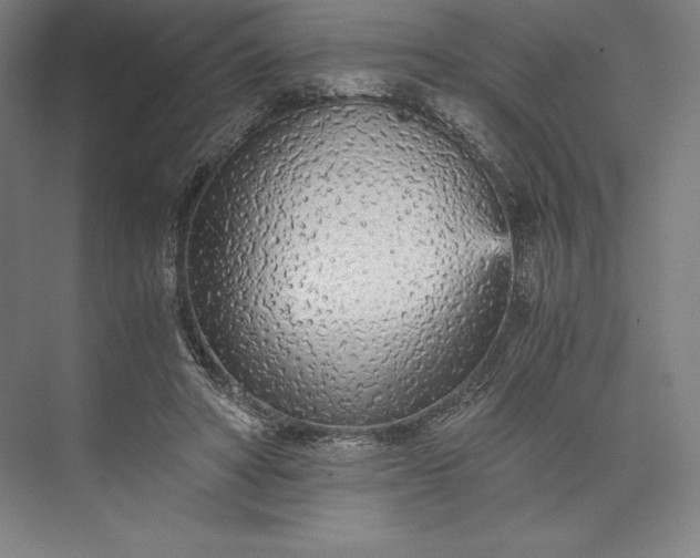 X0000073530402200608141031