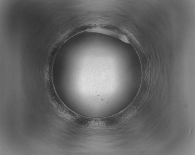 X0000073530403200608141031