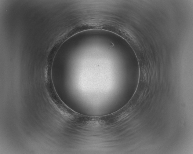 X0000073530404200608141031
