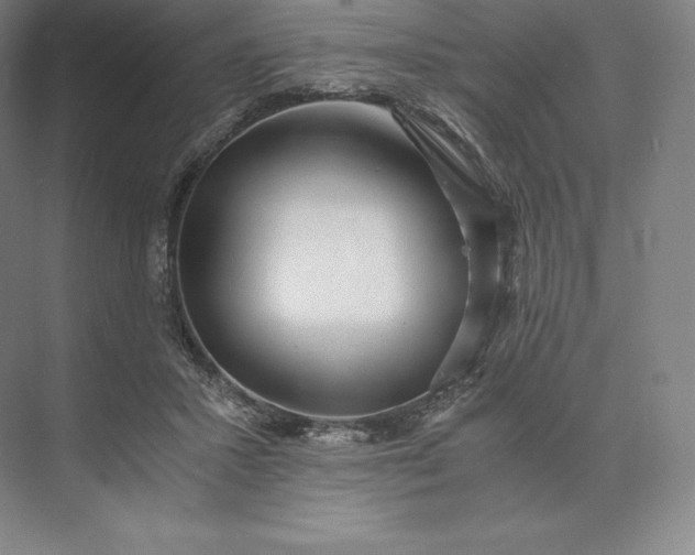 X0000073530407200608141031
