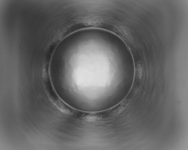 X0000073530408200608141031