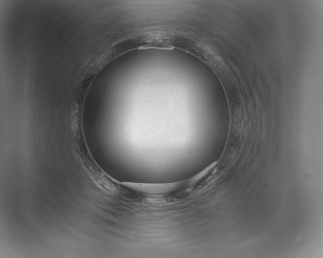 X0000073530413200608141031