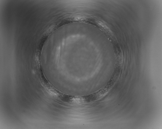 X0000073530415200608141031