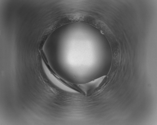 X0000073530416200608141031