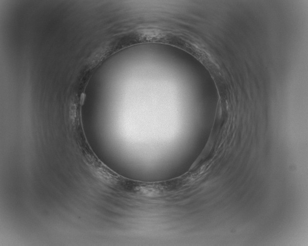 X0000073530417200608141031