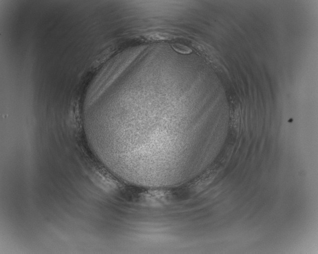 X0000073530418200608141031