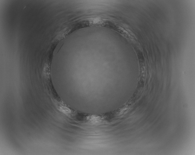 X0000073530419200608141031