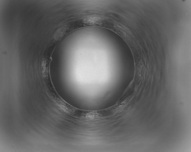 X0000073530420200608141031