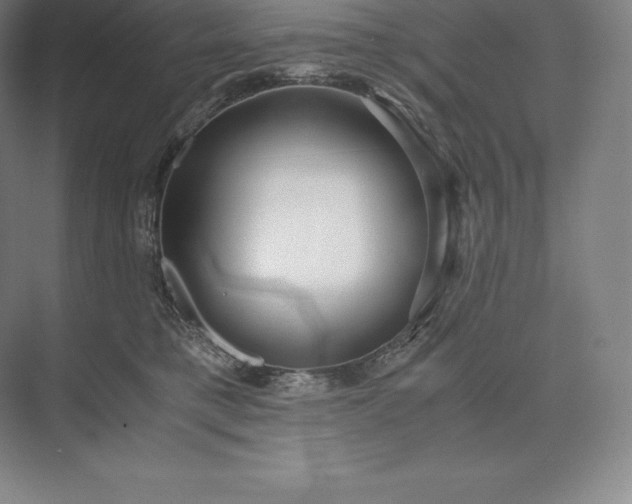 X0000073530421200608141031