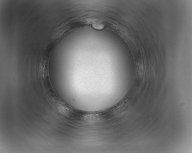 X0000073530422200608141031