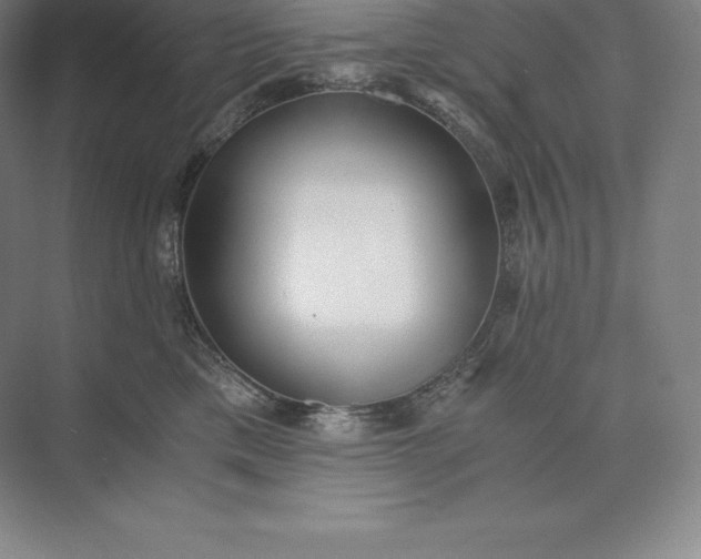 X0000073530425200608141031