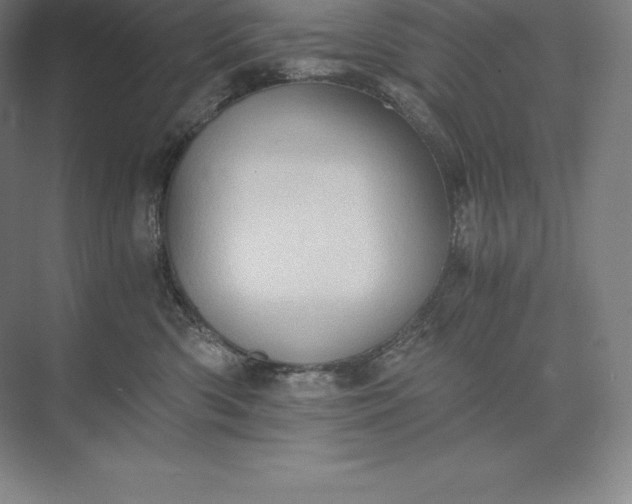 X0000073530426200608141031