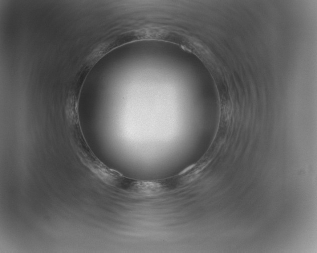 X0000073530429200608141031
