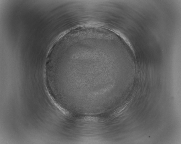 X0000073530437200608141030