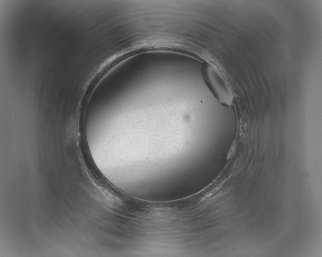 X0000073530438200608141030