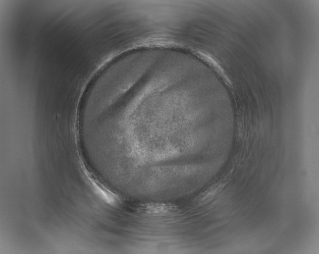 X0000073530439200608141030