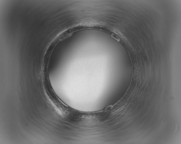 X0000073530440200608141030