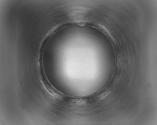X0000073530443200608141030
