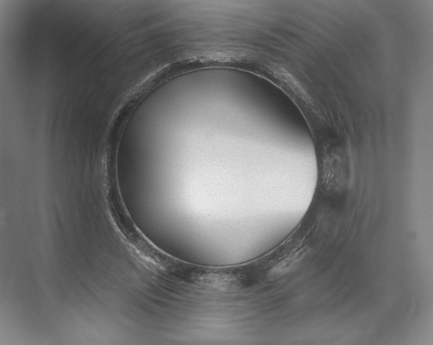 X0000073530444200608141030