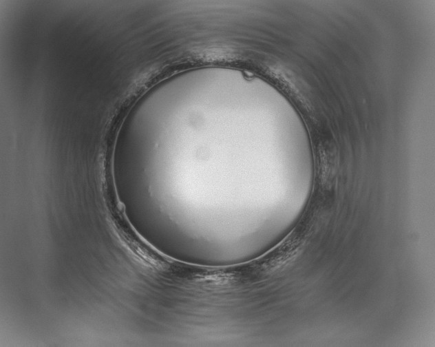 X0000073530447200608141030