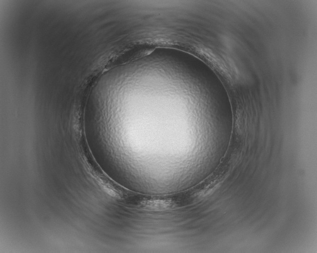 X0000073530449200608141030
