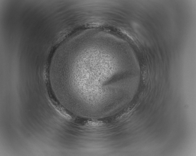 X0000073530455200608141031