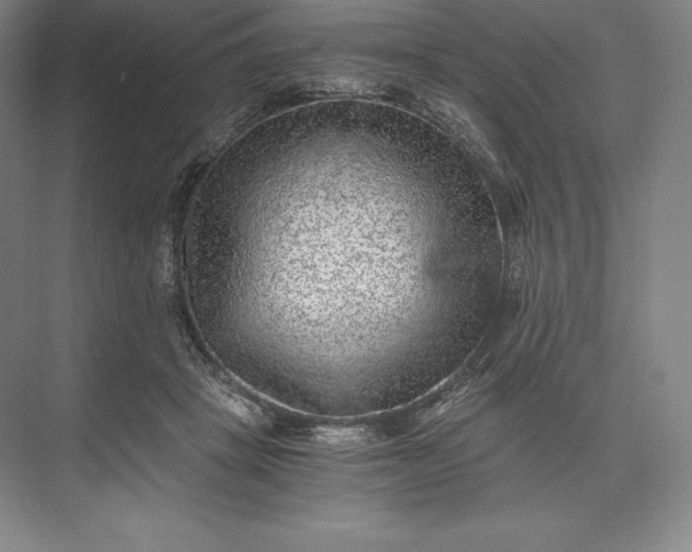 X0000073530457200608141031