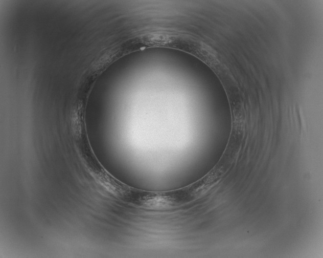 X0000073530460200608141031