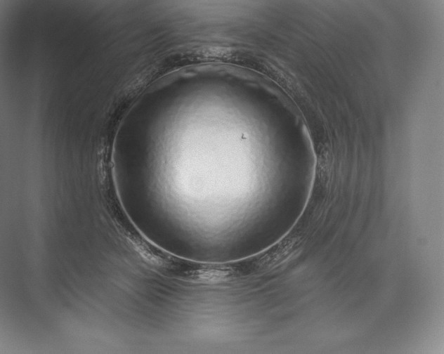 X0000073530462200608141031