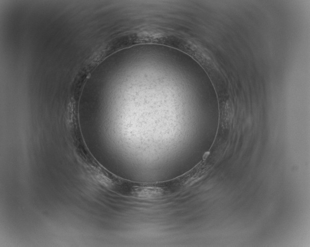X0000073530463200608141031