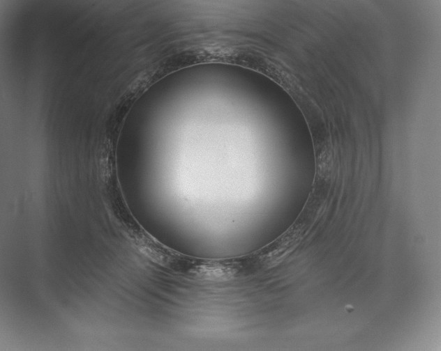 X0000073530464200608141031