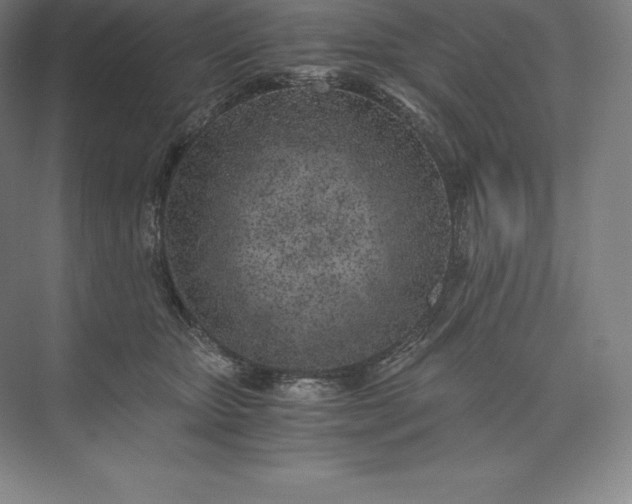 X0000073530467200608141031