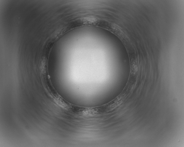 X0000073530468200608141031