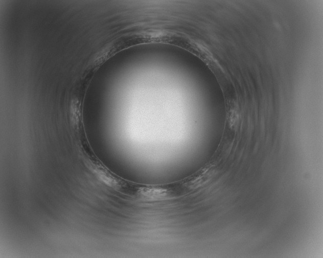 X0000073530476200608141031