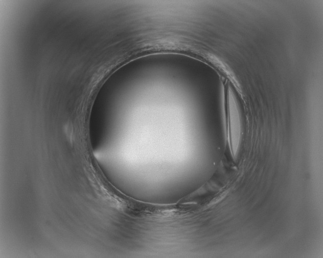 X0000073530481200608141030