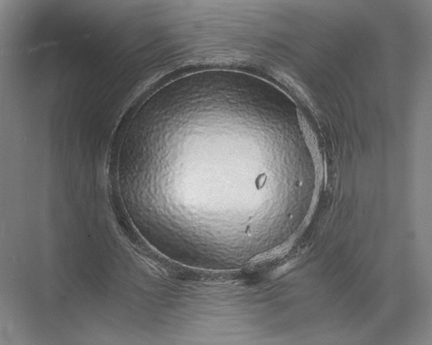 X0000073530483200608141030