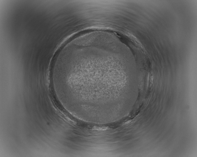 X0000073530484200608141030