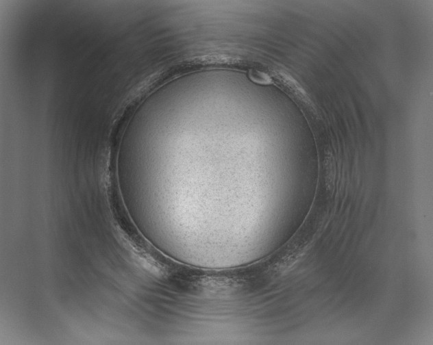 X0000073530490200608141030
