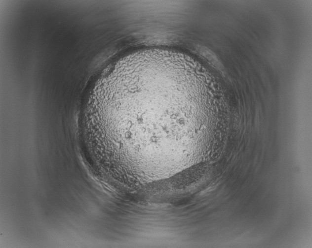 X0000073530491200608141030